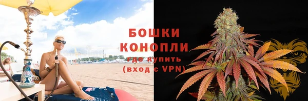шишки Михайлов