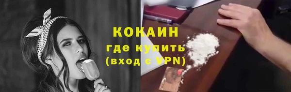 шишки Михайлов