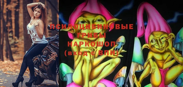MESCALINE Надым